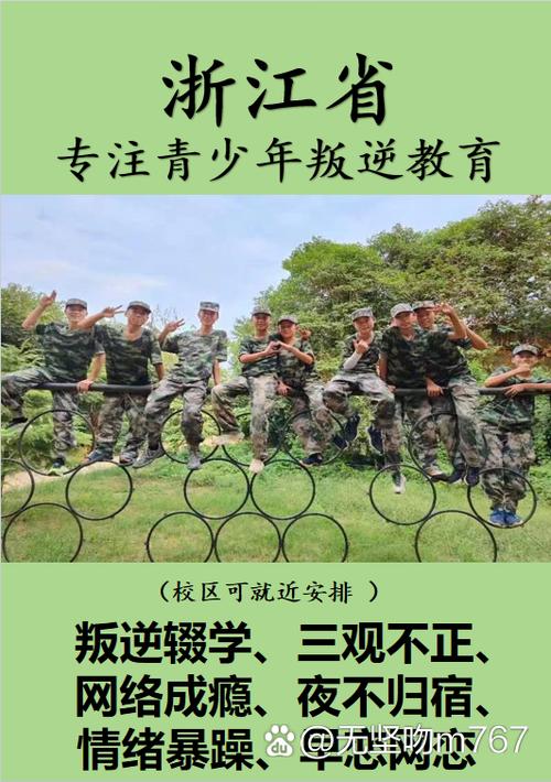 嘉兴市叛逆青少年教育与成长问题 教育管理的挑战与对策